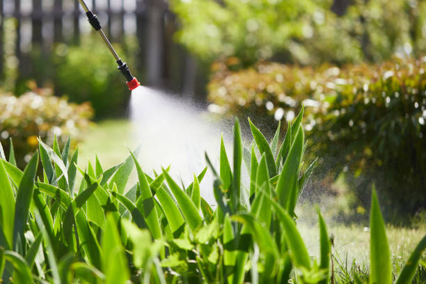 Void Injection for Cockroach Colonies in Green Valley
